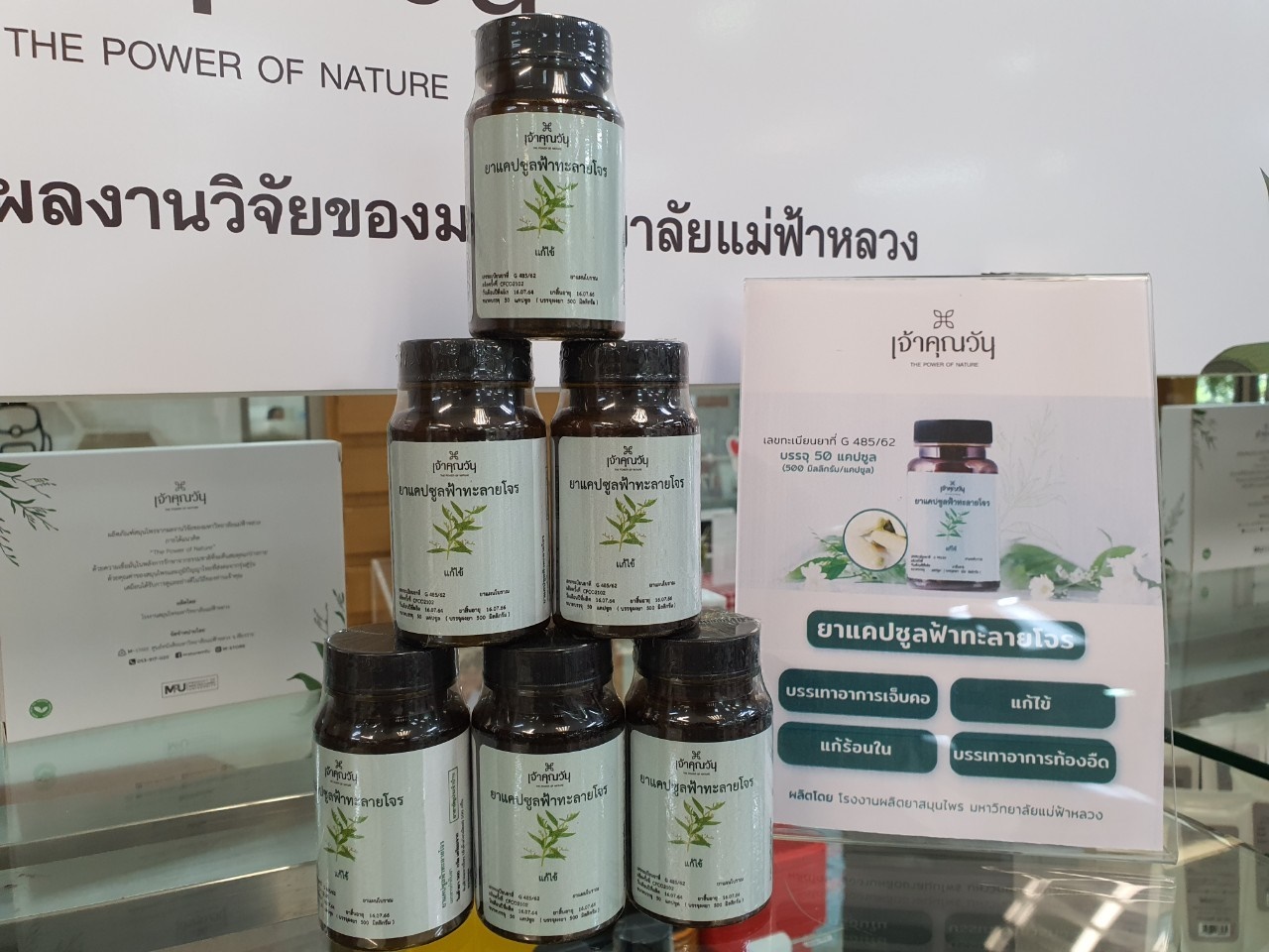 MFU News : MFU_ฟ้าทะลายโจร__10_.jpg